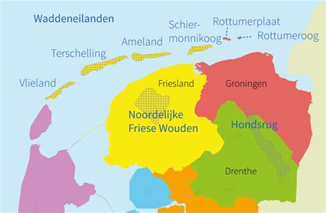 topografie groep  nederland gebieden leer de gebieden en regios  noord nederland