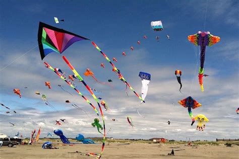 Fly Kite By The Beach Start Sankranti The Best Way Possible
