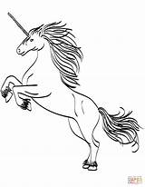 Unicorn Coloring Pages Head Rearing Color Printable Print Drawing Getcolorings Colorin Scribblefun Magical Categories sketch template
