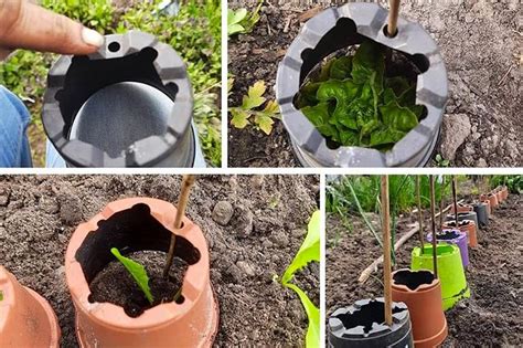 15 simple gardening hacks you probably didn t know about garden