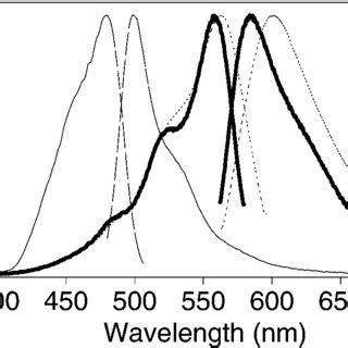 excitation  emission spectra  dsred solid lines     scientific diagram