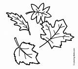 Fall Coloring Season Pages Printable Drawings Nature Leaf Drawing Autumn Kb sketch template