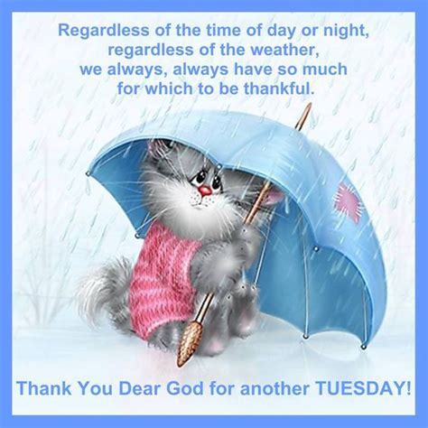 rainy thankful tuesday pictures   images  facebook