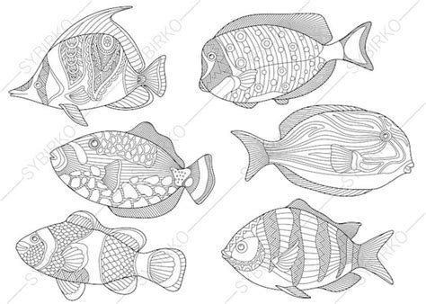 tropical fishes  coloring pages animal coloring book pages etsy
