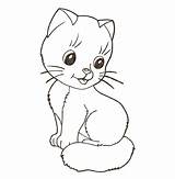 Kotek Kolorowanka Kolorowanki Druku Kitten Kot Kategorii Dla sketch template