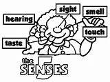 Coloring Senses Pages Popular sketch template