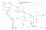 Wolves Lineart Wolf sketch template