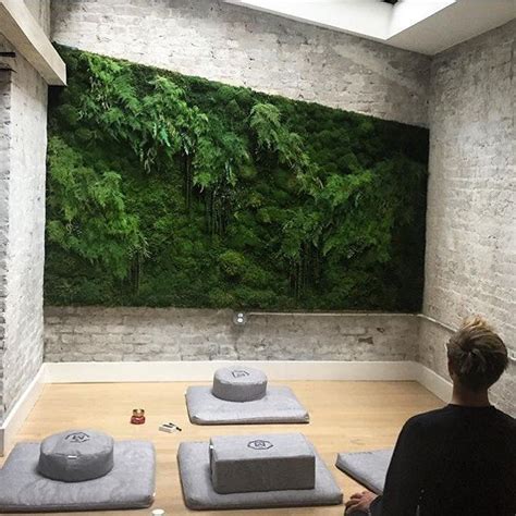 Live Wall For Meditation Room Indoor Zen Garden
