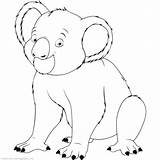 Koala Coloring Bear Pages Baby Realistic Getdrawings Getcolorings Printable sketch template