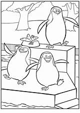 Pingwiny Madagaskaru Kolorowanka Kolorowanki sketch template