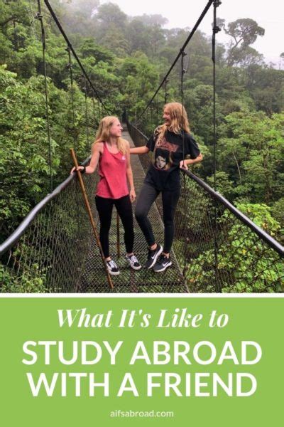 experience studying    friend study