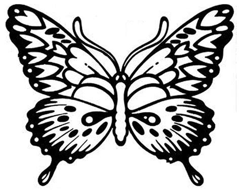 detailed butterfly coloring pictures detailed butterfly colouring