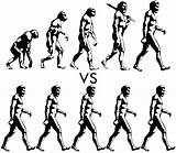 Evolution Man Drawing Really So Vs Monkeys Into Getdrawings God Evolving Being sketch template