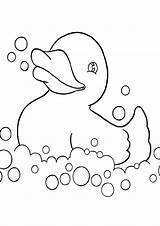 Pato Colorir Desenhos Banheira Tudodesenhos Borracha Patos sketch template