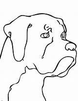 Dog Drawing Easy Head Coloring Pages Dogs Clipart Drawings Step Printable Heads Clip Animal Horse Face Cliparts Pencil Drawn Print sketch template