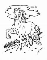 Coloring Welsh Cob Pages sketch template