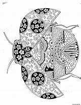 Ladybug Bug Therapie Colorear Zentangle Insectes Zentangles Coloriages Coccinelle Insetti Divers Kleurplaat Tatuajes Jecolorie Mariquita Miraculous Thérapie Libro Loisirs Grafici sketch template