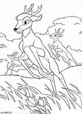 Bambi Chevreuil 2703 Malowanka Wydruku Bestappsforkids Kolorowanka Kolorowanki Coloriages sketch template