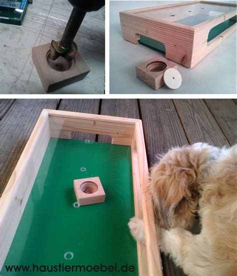 hundekicker hundespiele hunde spiele interaktives hundespielzeug