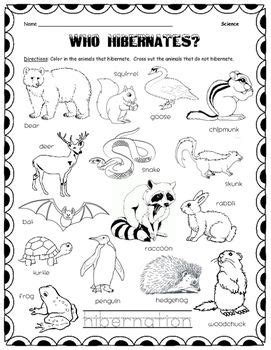 coloring pictures  animals  hibernate freeda qualls coloring pages