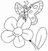 Coloring Butterfly Flower Big Pages Print sketch template