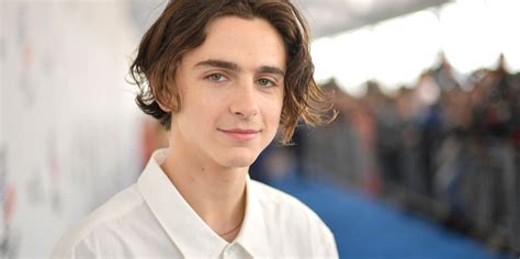 Timothée Chalamet S Plane Ride With A Fan Is Going Viral