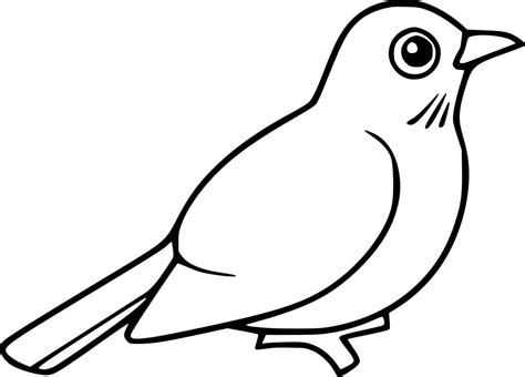 cute robin bird coloring page  print  color