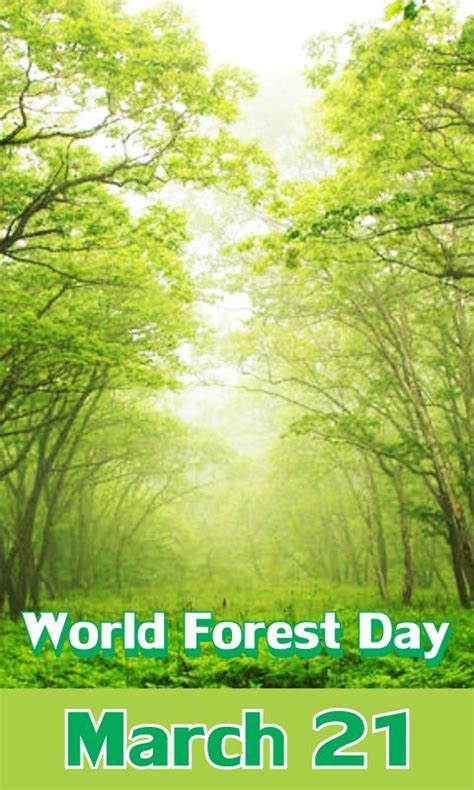 world forest day askideascom