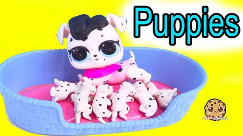 lol surprise pets dog  puppies cookie swirl  toy video clipfail