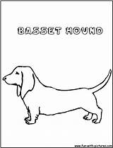 Basset Hound Coloring Pages Template sketch template