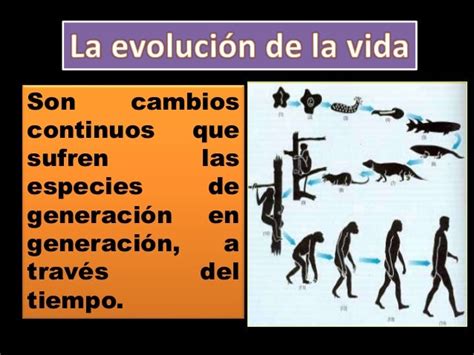 Evolucion De La Vida