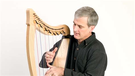 beginners guide  harps dusty strings