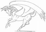 Pegasus Ausmalbilder Lineart Horse Img00 Letzte Prancing Insertion sketch template