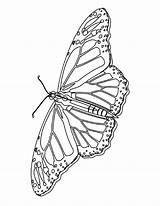 Coloring Pages Butterfly Kids Printable Butterflies Colouring Print Bestcoloringpagesforkids Monarch Bookmark Mycoloringland Land sketch template