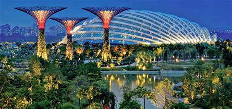 singapores flower dome floweradvisor blog