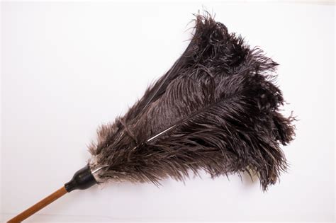 feather duster large longara brushware
