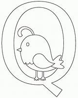 Quail Coloring Pages Letter Aa Choose Board sketch template