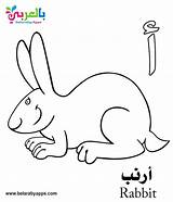 Arabic Coloring Alphabet Pages Letter Kindergarten Pdf Letters Kids Belarabyapps Book Choose Board sketch template