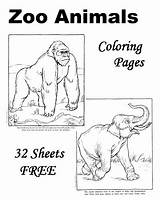 Zoo Coloring Animal Pages Sheets Printables Animals Printable Colouring Kids Color Books Worksheets Print Book Group School Ocean Facts Plans sketch template