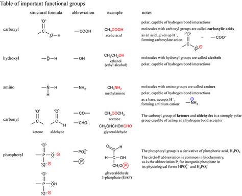chem  functional groups