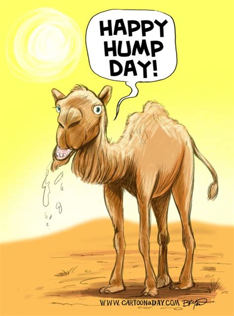 Happy Hump Day Camel On Wednesday Cartoon