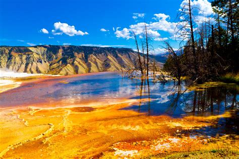 yellowstone national park united states  america world  travel