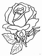Vorlagen Malvorlagen Rosen Ausmalbilder Ausdrucken Windowcolor Seidenmalerei Malen Traktoren Genial Erstaunlich Blumenmotive Muster Modisch sketch template
