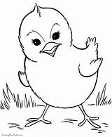 Coloring Pages Printable Duck Cute Labels Animal sketch template