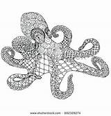 Squid Zentangle Coloring Colouring Doodle Octopus Choose Board Pages sketch template
