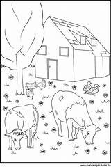 Bauernhof Ausmalbilder Ausmalbild Playmobil Malvorlage Huis Kleurplaat Pferde Beste sketch template