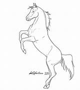 Horse Rearing Coloring Pages Lineart Drawings Sketch Horses Outline Deviantart Pencil Drawing Arabian Animals Stallion Color Mustang Print Step Orig00 sketch template