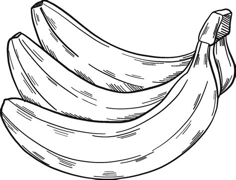banana coloring page  monkey coloring pages coloring cool