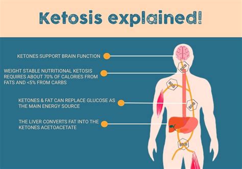 ketosis   keto diet explained recipesclub