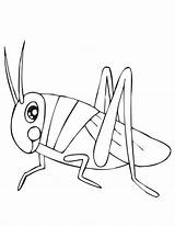 Grasshopper Coloring Pages Printable Cute Kids Preschool Print Kindergarten Clipart Colouring Color Preschoolcrafts Library Becuo Animals Popular sketch template